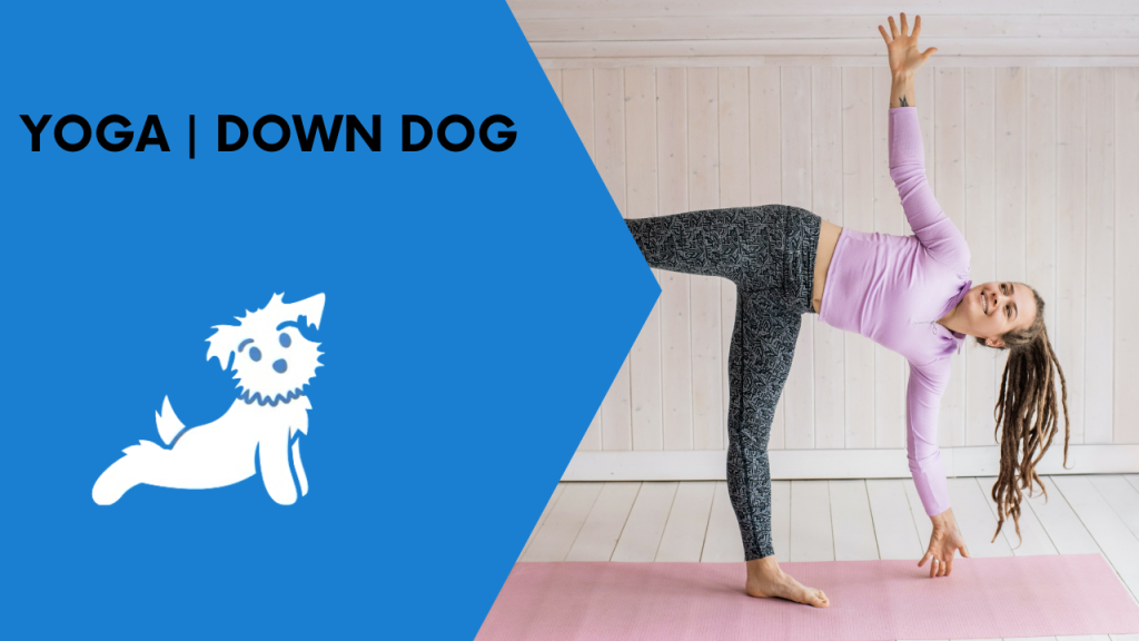 Yoga a Casa con Down Dog